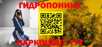 ешки Волгодонск