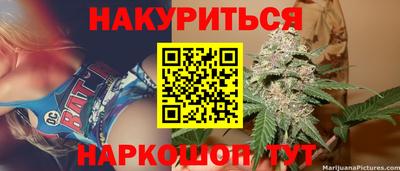 сатива Абинск