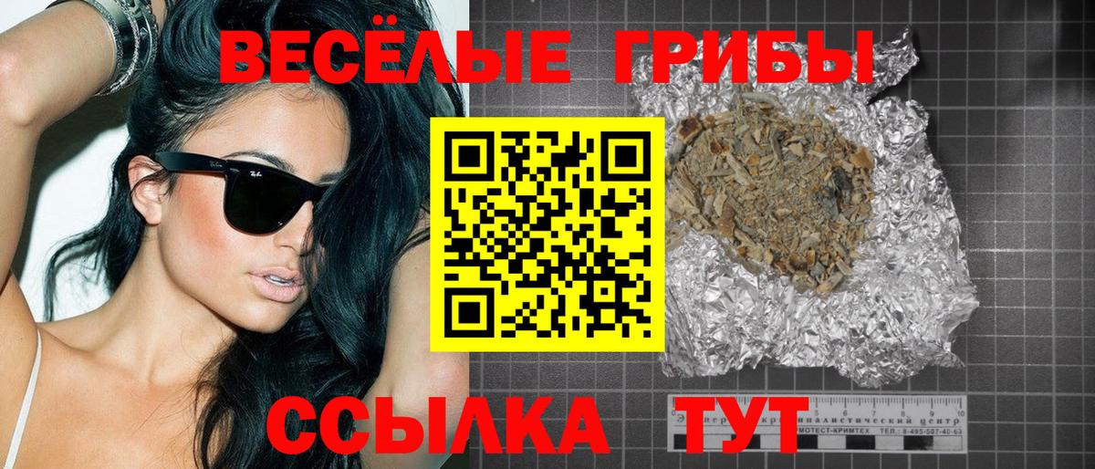 Каменск-Шахтинский  Псилоцибиновые грибы MAGIC MUSHROOMS  Вход с VPN 