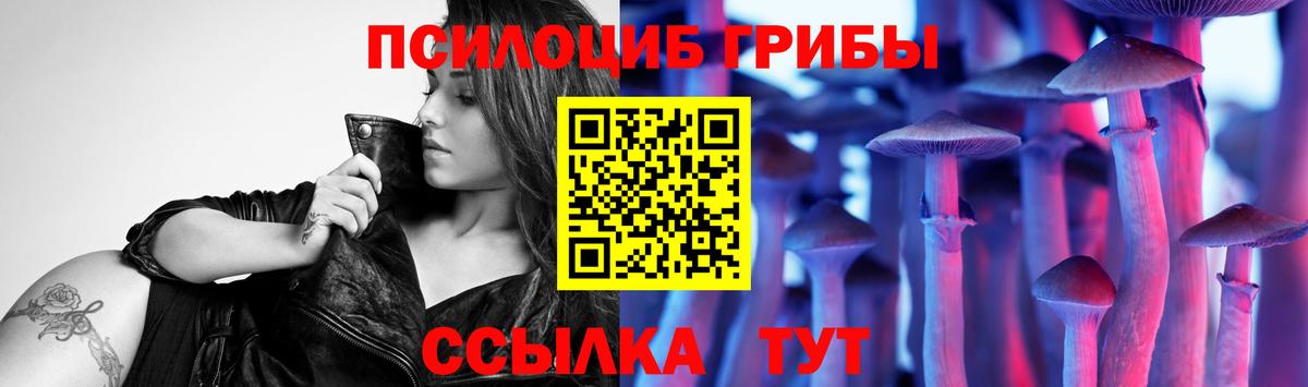 Псилоцибиновые грибы мухоморы Каменск-Шахтинский